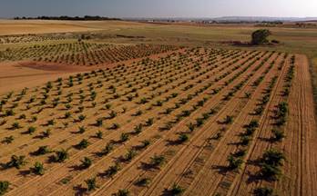 4 terrenos y fincas en venta moraleja del vino