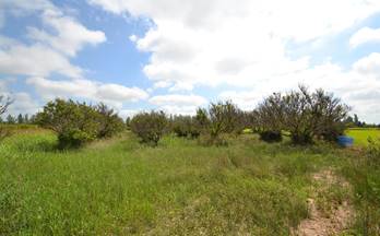 venta finca rustica sant jaume d´enveja balada
