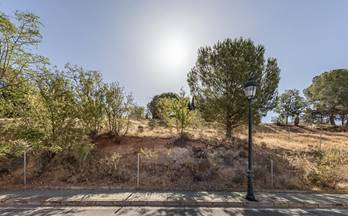 129 terrenos y fincas en venta granada