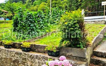 11 casas en venta balmaseda