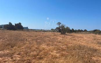 venta terrenos solares sant josep de sa talaia 