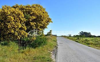 venta casa de campo chiclana de la frontera camino canarias