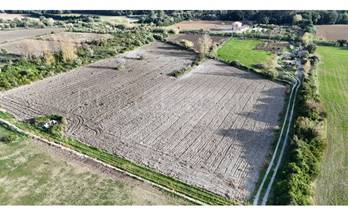 venta terrenos solares pollensa pollença