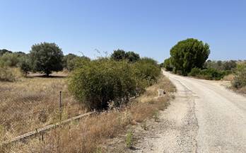 venta terrenos solares navas del rey campo