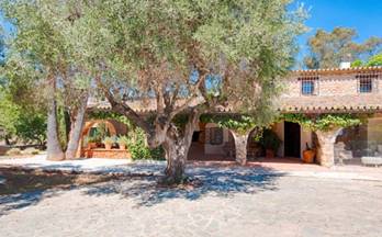 1135 casas en venta senija