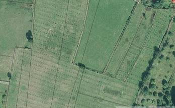 25 terrenos y fincas en venta grado