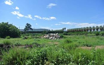 88 terrenos y fincas en venta benimeli