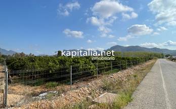 57 terrenos y fincas en venta alfauir