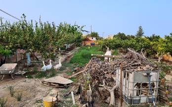 venta terrenos solares deltebre centro