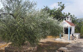 venta finca rustica sant carles de la rapita rústica