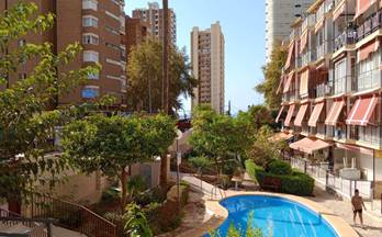 804 pisos en venta el albir