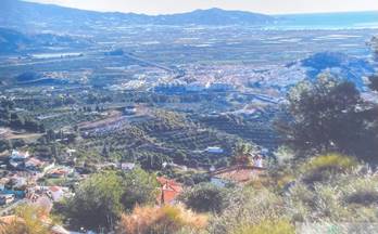 venta terrenos solares salobreña monte de los almendros 