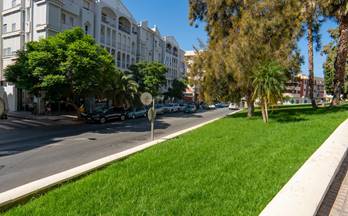 98 locales en venta granada provincia