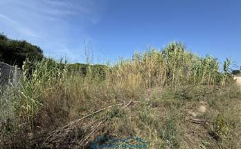 61 terrenos y fincas en venta pineda de mar