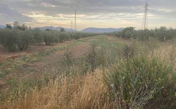 133 terrenos y fincas en venta cajar