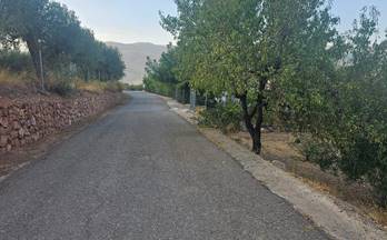 venta finca rustica fondon fondón