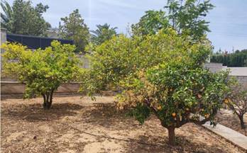 83 terrenos y fincas en venta roquetes