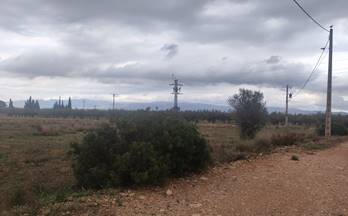 70 terrenos y fincas en venta vinallop