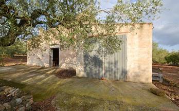 102 terrenos y fincas en venta camarles