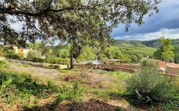 venta terrenos solares olivella mas mestre