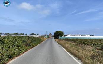 11 terrenos y fincas en venta chipiona