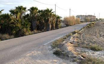 8 terrenos y fincas en venta la marina
