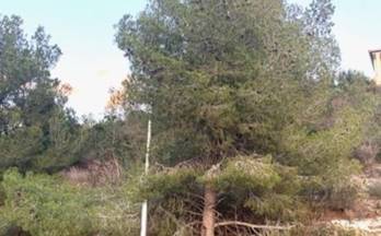 65 terrenos y fincas en venta segur de calafell
