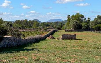 venta finca rustica santa margalida noreste