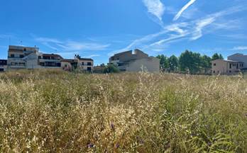 venta terrenos solares can picafort noreste