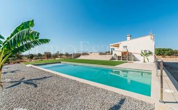 2 terrenos y fincas en alquiler campos