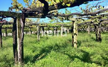 venta terrenos solares caleiro caleiro (resto parroquia)