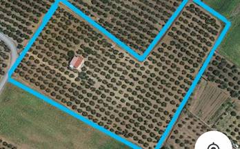 venta finca rustica gibraleon gibraleon