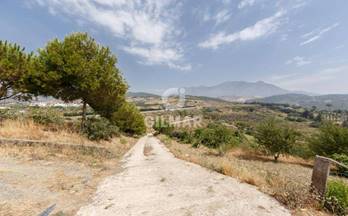 235 casas en venta cancelada