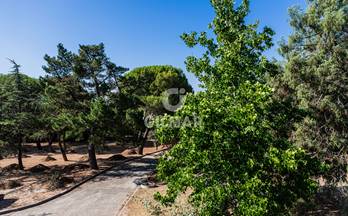 venta chalet resto provincia los ranchos