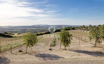 83 casas en venta rota