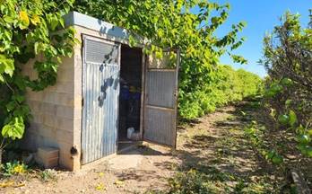 33 terrenos y fincas en venta ulldecona