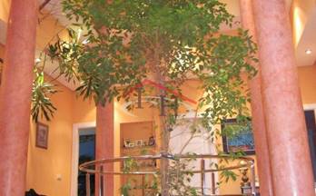 13 casas en venta valdefresno