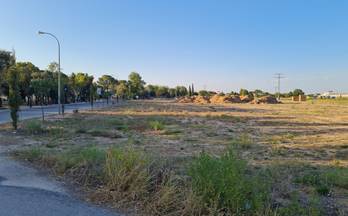 2 terrenos y fincas en venta aguas nuevas, albacete