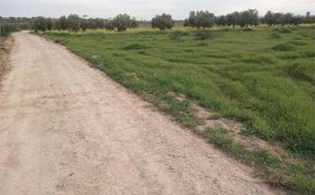 venta terrenos solares puebla de sancho perez zafra