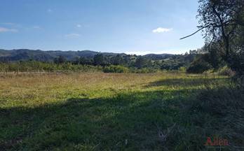 venta terrenos solares llanera 