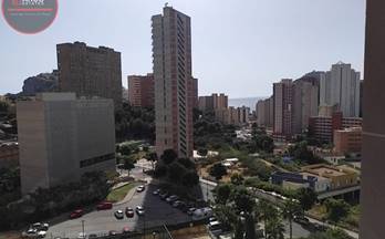 alquiler piso benidorm 