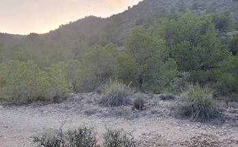 venta finca rustica monovar monover monovar