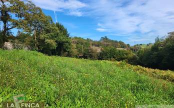 126 terrenos y fincas en venta asturias provincia