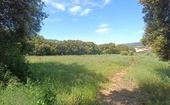 1 terrenos y fincas en venta estella