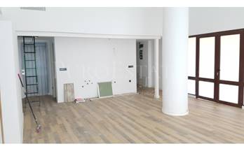 venta local palma de mallorca centro