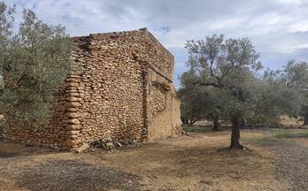 71 terrenos y fincas en venta vinallop