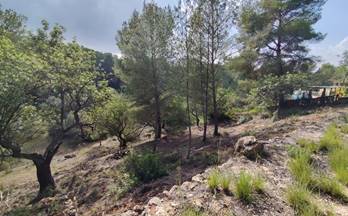 43 terrenos y fincas en venta xerta