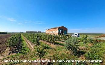 31 terrenos y fincas en venta torrefarrera