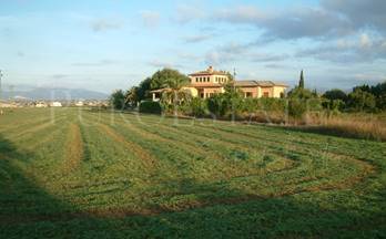 40 terrenos y fincas en venta santa maria del cami