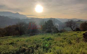 42 terrenos y fincas en venta noreña